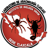  Laboratorio de Aracnología-LATLAX, IBUNAM-Tlaxcala